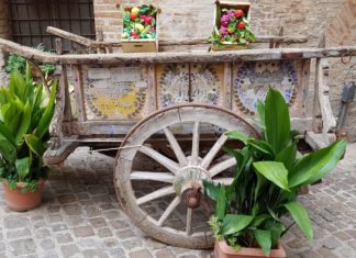 Sagra della Frutta, bilancio positivo per un’edizione super con aneddoto commovente