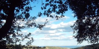 Primo autunno sulle colline picene: una visione, quasi una magia