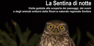 Visita guidata alla scoperta della “Sentina di Notte”