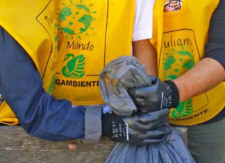 Grottammare, “Puliamo il mondo” al Parco della Madonnina con gli studenti del “Leopardi”