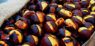 Una “Castagnata” per tutti al Parco Annunziata, quartiere Agraria