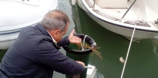 Circolo Nautico, progetto Life Gate contro l’inquinamento marino. Raccolti al porto oltre 60 chili di rifiuti