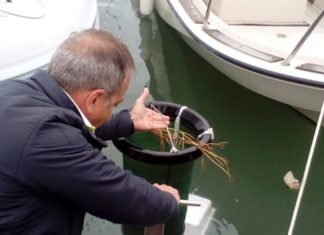 Circolo Nautico, progetto Life Gate contro l’inquinamento marino. Raccolti al porto oltre 60 chili di rifiuti