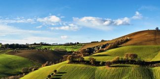 Che “magnamo”? Le varietà gastronomiche marchigiane con un po’ di storia…