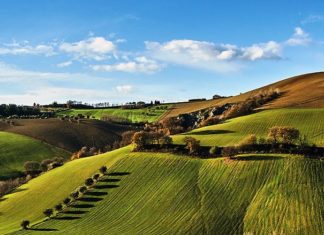 Che “magnamo”? Le varietà gastronomiche marchigiane con un po’ di storia…