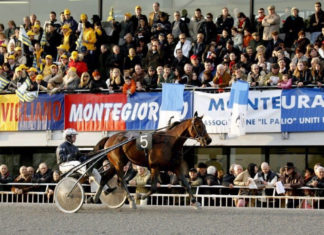 Il Comune di Ascoli partecipa per la prima volta al “Palio dei Comuni” di Montegiorgio