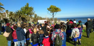 “Festa dell’albero” a Grottammare, a dimora cinque palme di Washingtonia