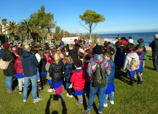 “Festa dell’albero” a Grottammare, a dimora cinque palme di Washingtonia