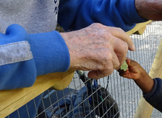 Nonni e bambini insieme, l’esperienza del nido comunale di Macerata al convegno di Bressanone