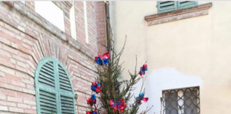 La Fiorita dona un albero di Natale a Palazzo Piacentini