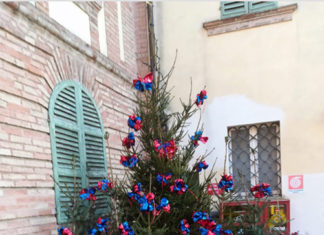 La Fiorita dona un albero di Natale a Palazzo Piacentini