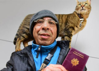 Aldo e il gatto Helios, una storia dei nostri tempi bui