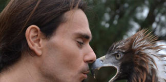 Grottammare, spettacoli di falconeria e arte circense in attesa del nuovo anno