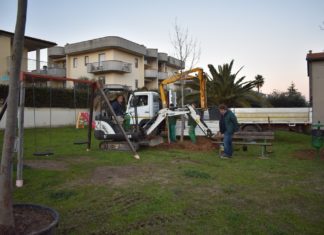 Nuove piante in aree verdi e aiuole del territorio di Centobuchi e Monteprandone