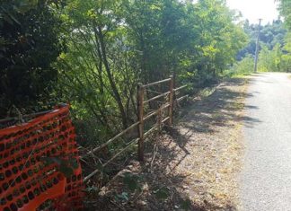 Ripatransone, l’opposizione attacca sul degrado: «Il disastro ambientale è sotto gli occhi di tutti»