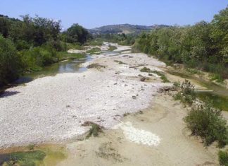 “Contratto di fiume” per il Tesino, si firma il manifesto a Cossignano