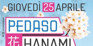 Pedaso Hanami 2019, spostata al 25 aprile la Festa dei Ciliegi in Fiore