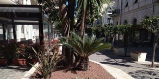 Grottammare, i ladri restituiscono le piante rubate in Piazza Fazzini