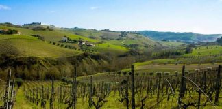 “Prima durante e dopo Raci”, a Macerata due incontri dedicati al valore del cibo e del vino contadino