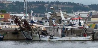 Pensioni dei marittimi declassate dall’Inps. Mozione Pd in Consiglio Regionale: «Perdite ingenti per i lavoratori»