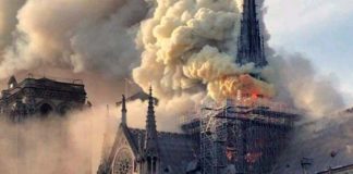 Notre Dame, una tragedia che non merita insulti