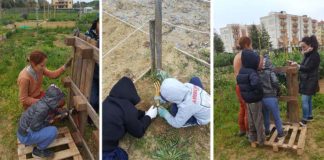 San Benedetto, nasce “A Piccoli Passi” il primo orto urbano partecipato in Zona Agraria