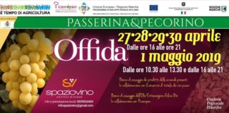 “Passerina & Pecorino” all’Enoteca Regionale, cinque giorni dedicati al vino