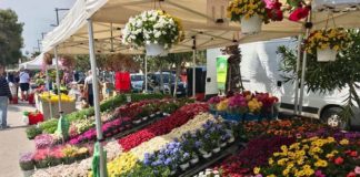 “Il Mare in Fiore”, al via a Grottammare la prima edizione della mostra mercato florovivaistica