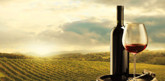 Viti e vitigni marchigiani. Storia di una campagna felice