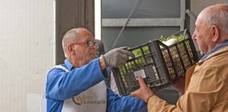 “La fame non va in vacanza”, nelle Marche i volontari di Banco Alimentare in piazza per i più bisognosi