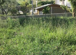 Ripatransone, erbacce e degrado nella scuola dell’infanzia. De Angelis scrive al sindaco