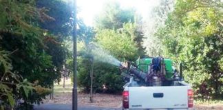 Grottammare, disinfestazione antizanzare. Verde privato e rischio incendi, invito alla cura