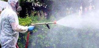 Disinfestazione e sanificazione, due distinti interventi a Grottammare