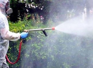 Monteprandone, disinfestazione nella notte tra giovedì 22 e venerdì 23 agosto