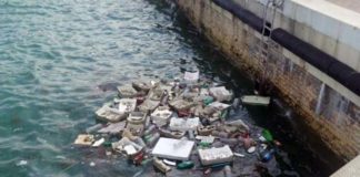 “Stop alle cassette di polistirolo in mare”, Urbinati firma la petizione di Legambiente