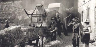 La trebbiatura e il grano, tra foto di famiglia