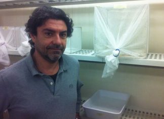 Unicam, il professore Guido Favia direttore dell’Italian Malaria Network