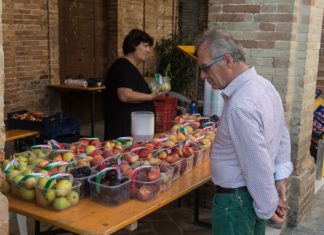 Frutta in tutte le salse, musica e divertimento a Montefiore dell’Aso