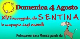 Passeggiata con gli asinelli e fiabe, doppio appuntamento alla Riserva Sentina