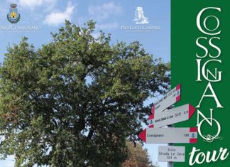 “Le Cese”, un percorso naturalistico tutto da scoprire a Cossignano