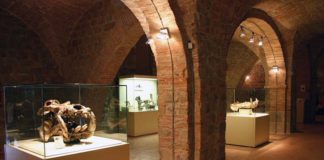 Unicam, “Notte dei ricercatori” con protagonista il nuovo Planetario del Museo delle Scienze