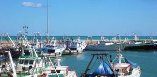 Il Flag Marche Sud pubblica due nuovi bandi di concessione contributi