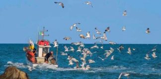“L’Adriatico e la Piccola Pesca”, a Pedaso un evento Slow Food dedicato al mare