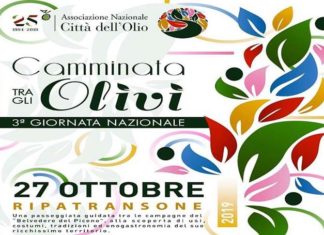 Ripatransone celebra l’olio con la “Camminata tra gli Olivi”