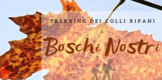 “Boschi Nostri”, grande attesa per il primo trekking degli Avis Bikers dei Colli Ripani