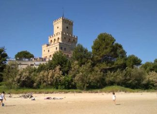 Le “Domeniche a Torre Cerrano”, visita guidata alla scoperta dell’area marina protetta