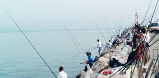 Finale di Coppa Italia individuale di pesca con canna da riva al Molo Sud di San Benedetto