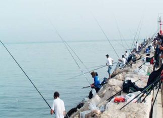 Finale di Coppa Italia individuale di pesca con canna da riva al Molo Sud di San Benedetto