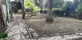 “Mattinate Fai d’Inverno”, studenti in visita al Parco di Villa Rambelli