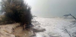 La Regione approva il piano per la Sentina. Piunti scrive a Ceriscioli: «Speriamo arrivino anche i fondi»